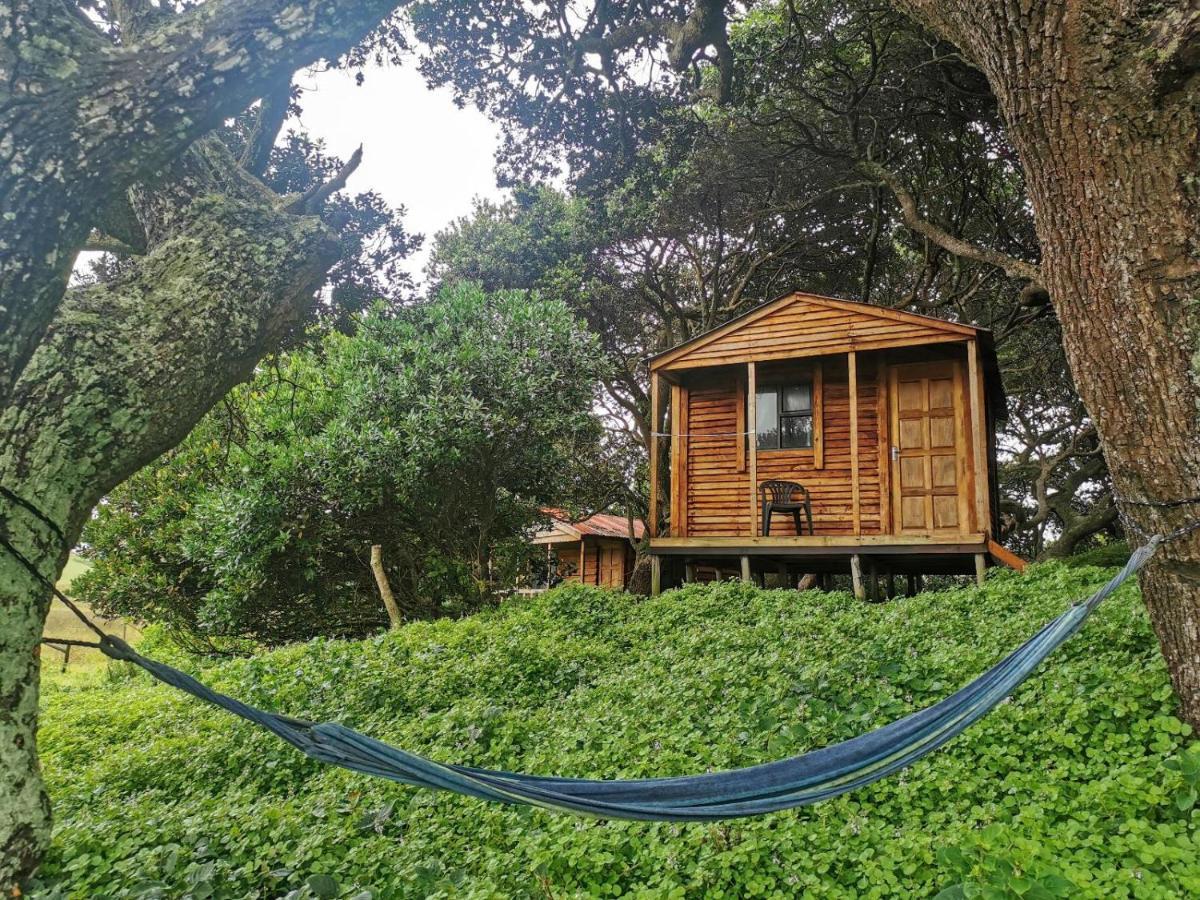 Bulungula Xhosa Community Lodge Szoba fotó